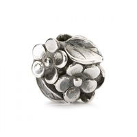 Charm Trollbeads Donna in Argento TAGBE-20043
